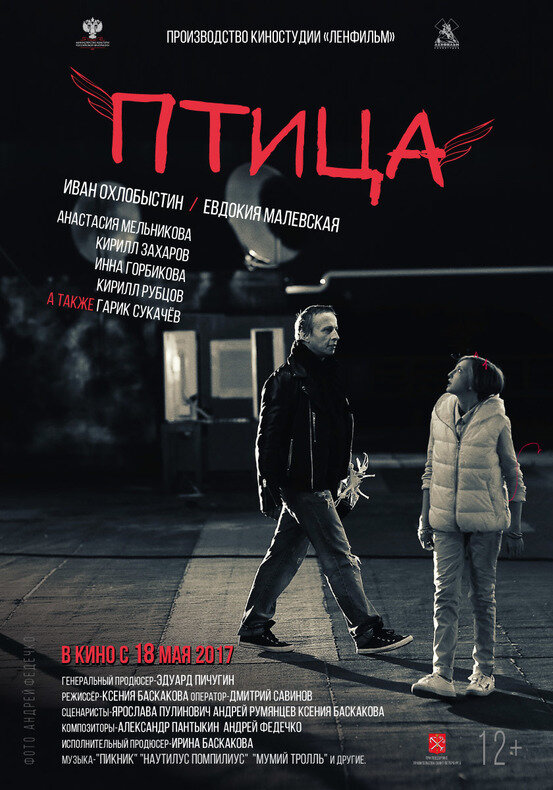 Птица (2016)