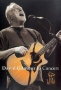 David Gilmour in Concert (2002)